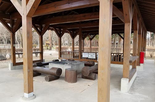 鳥野目河川公園オートキャンプ場の2枚目画像