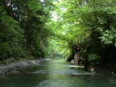 大丹波川国際虹ます釣場のサブ写真3