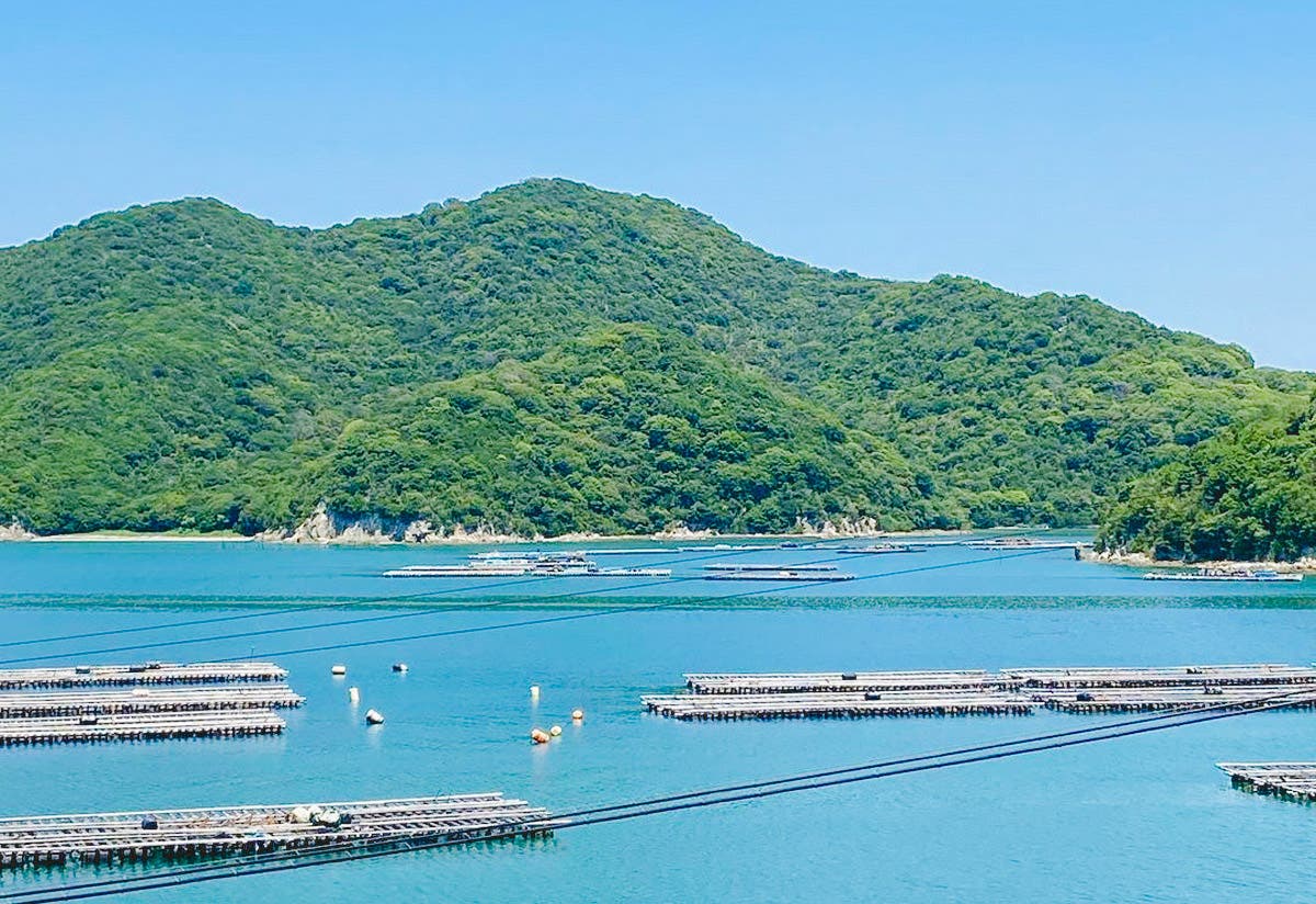 ひなせうみラボのサブ写真3