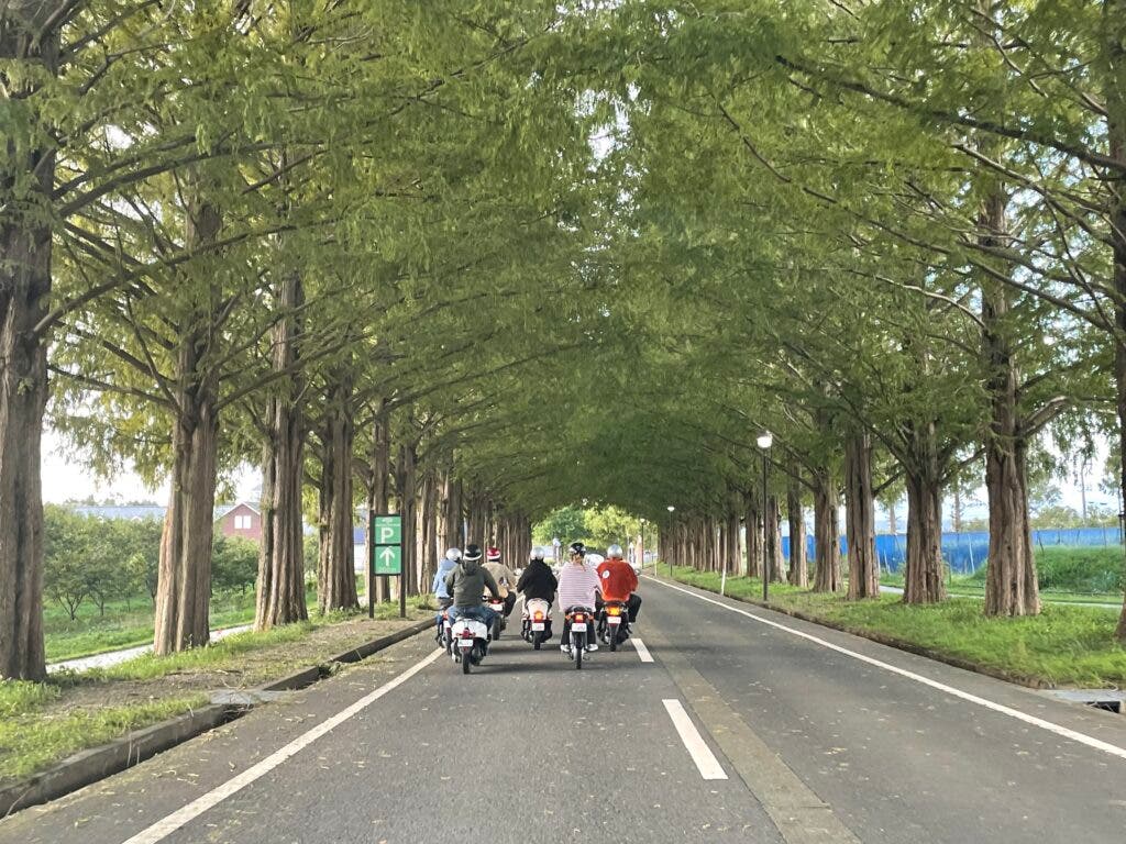 Relacping リラクピング メタセコイア店のサブ写真8