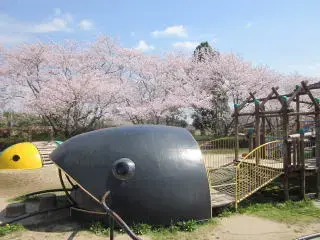 滋賀県立びわ湖こどもの国の1枚目画像