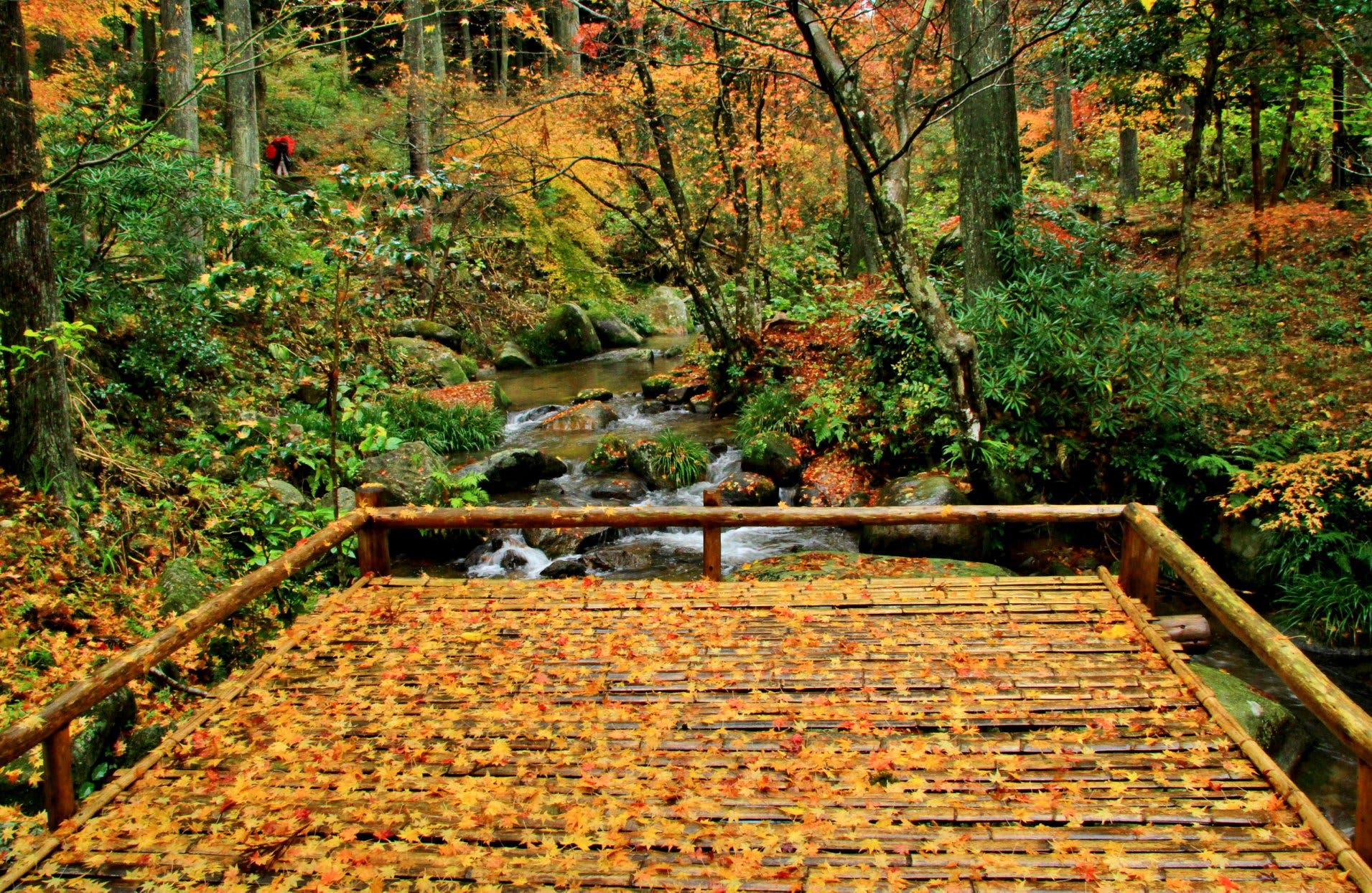 山瀬の里キャンプ場のサブ写真10