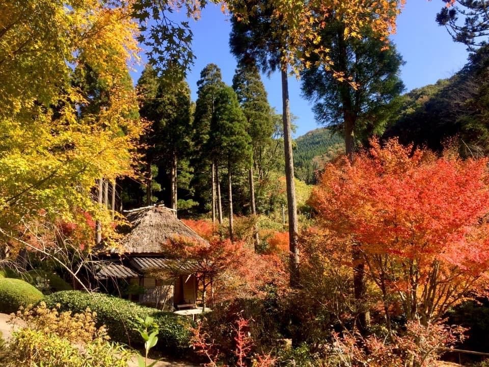 山瀬の里キャンプ場のサブ写真11