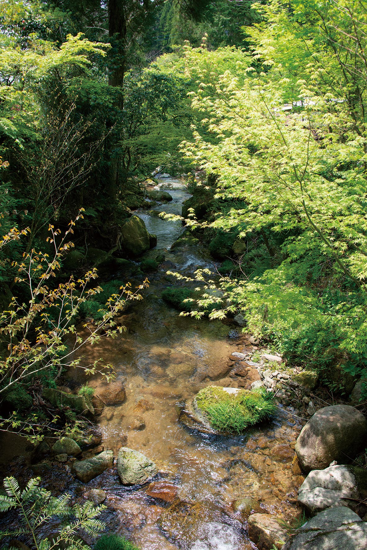 山瀬の里キャンプ場のサブ写真12