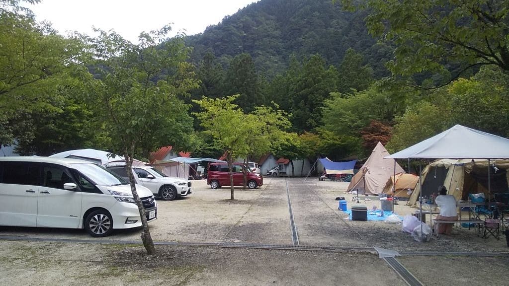 すぎのこキャンプ場バンガロー村のサブ写真3