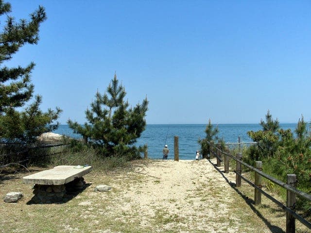 休暇村瀬戸内東予シーサイドキャンプ場のサブ写真4