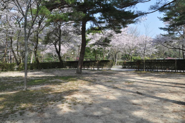 福岡ローマン渓谷オートキャンプ場のサブ写真7