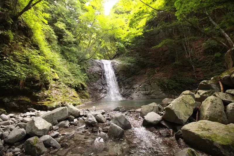 西丹沢 大滝キャンプ場のサブ写真8