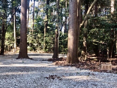 山万ユーカリファーム森のBBQのサブ写真8