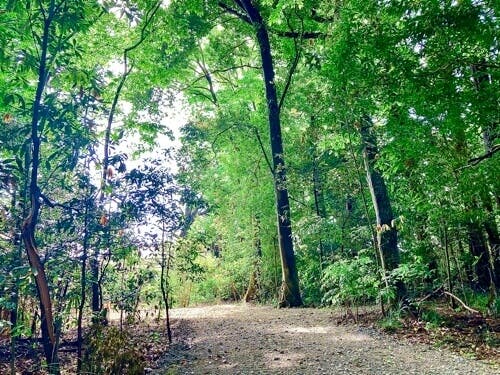 山万ユーカリファーム森のBBQのサブ写真9