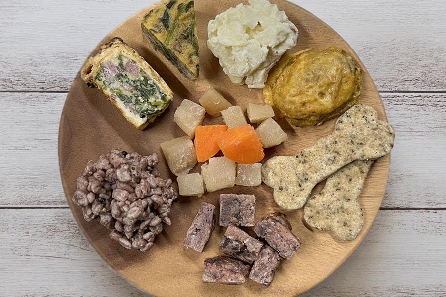 グランデ プライベートドッグリゾート常陸のサブ写真8