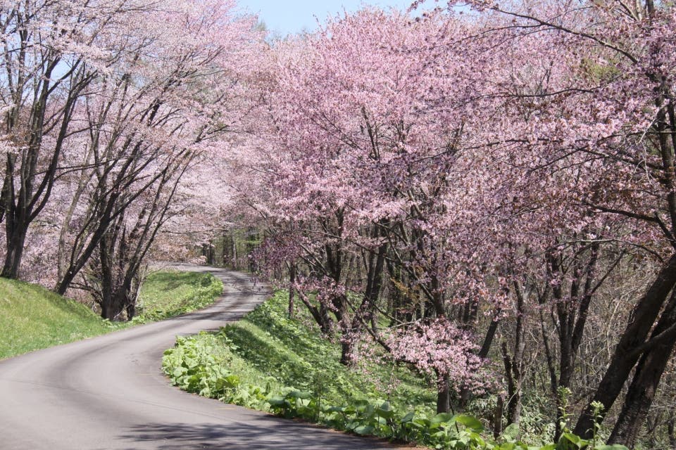 にわ山森林自然公園の1枚目画像