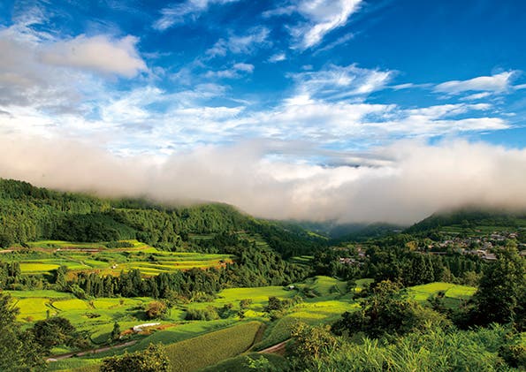 ハーベステラス本山店のサブ写真3