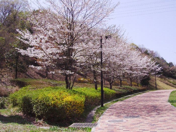 小山内裏公園の2枚目画像