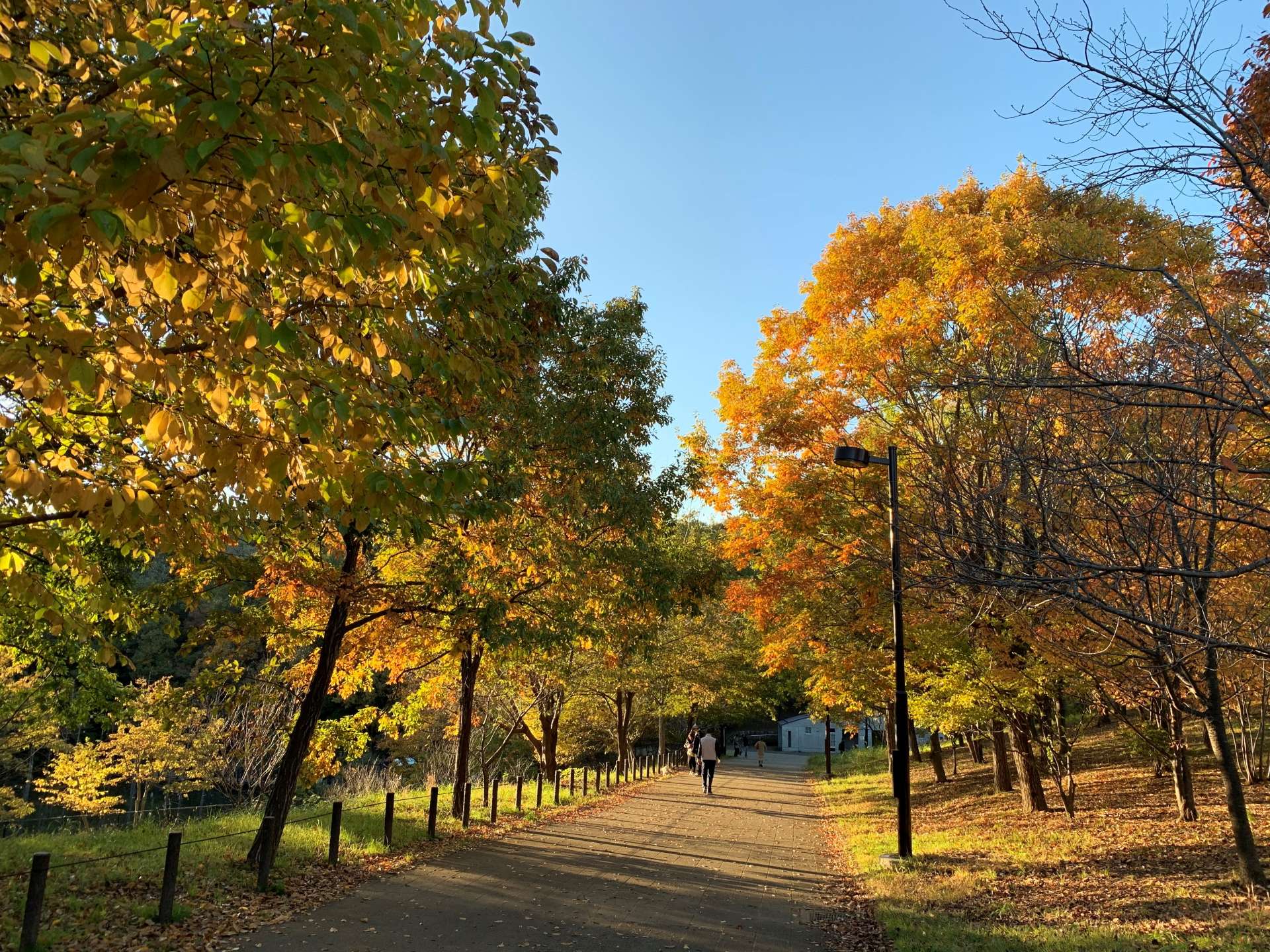 小山内裏公園のサブ写真3