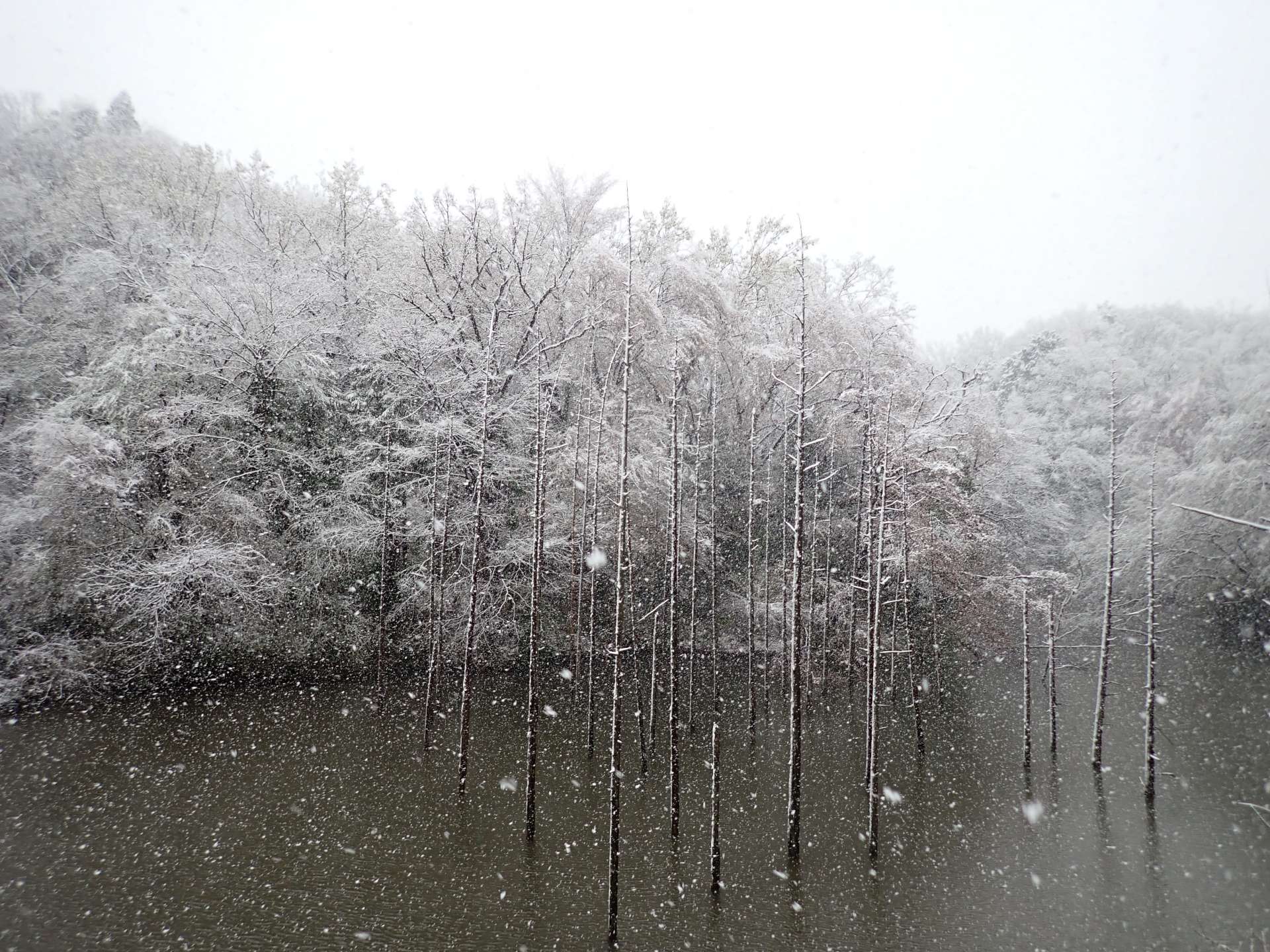 小山内裏公園のサブ写真4