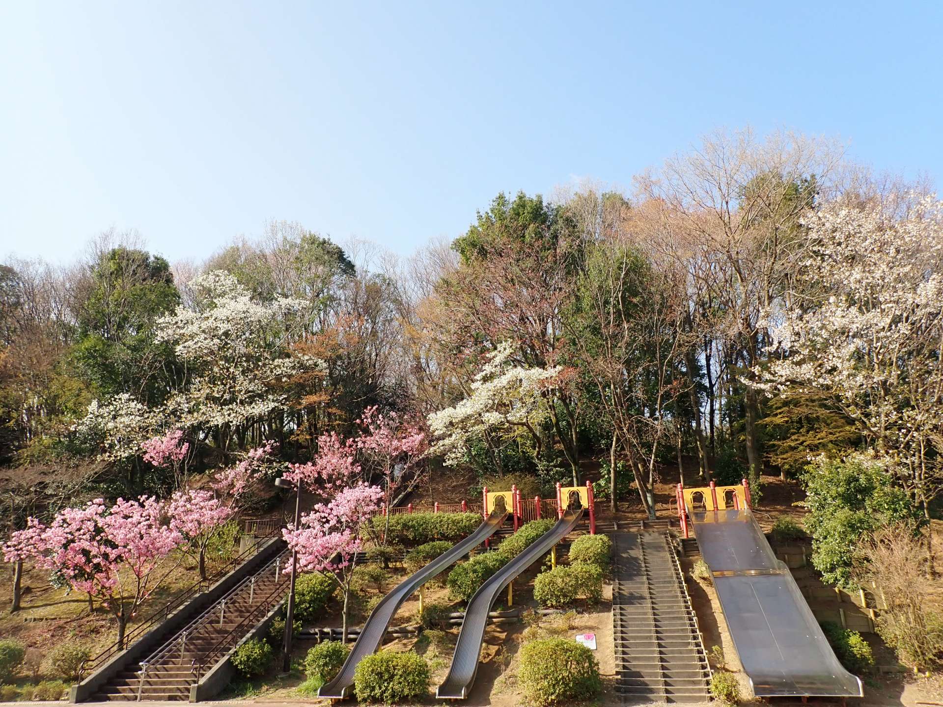 小山内裏公園のサブ写真5