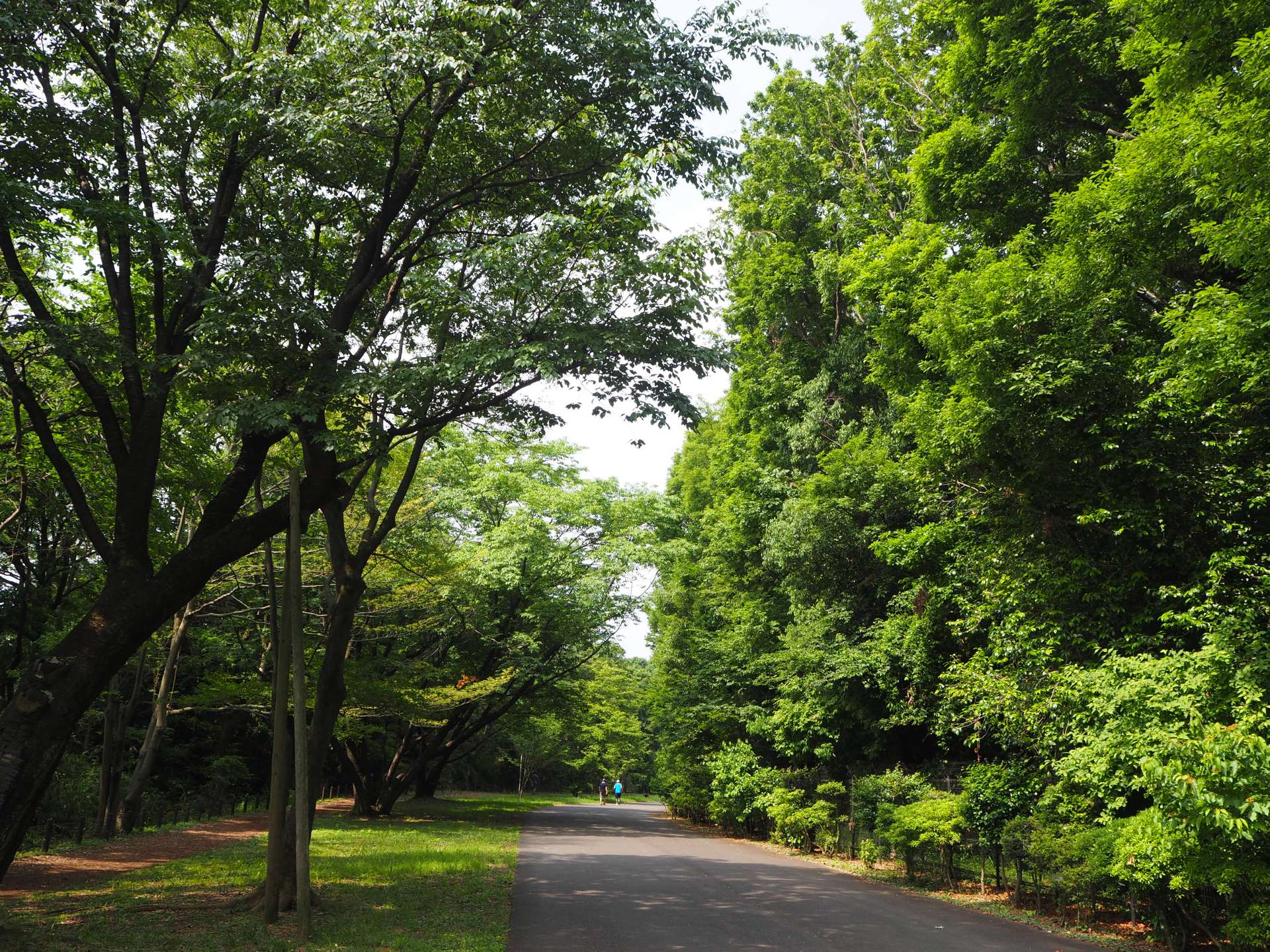 小山内裏公園のサブ写真6