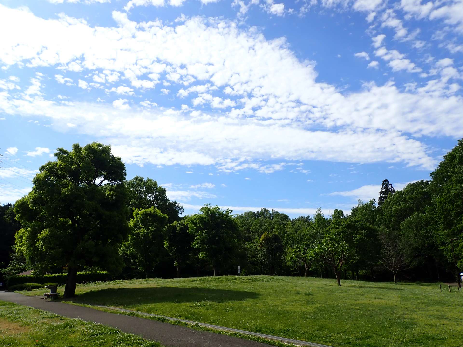 小山内裏公園のサブ写真9