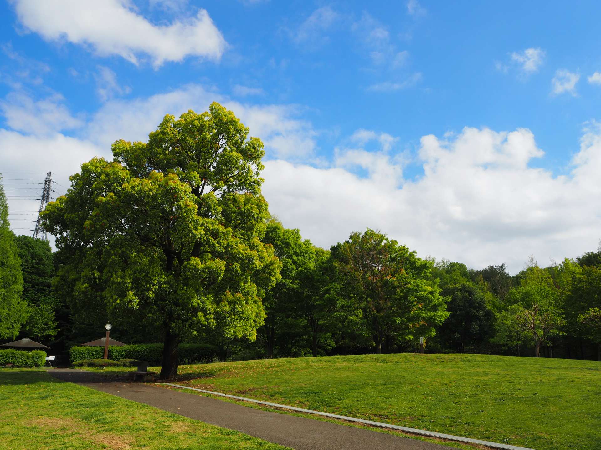 小山内裏公園のサブ写真10