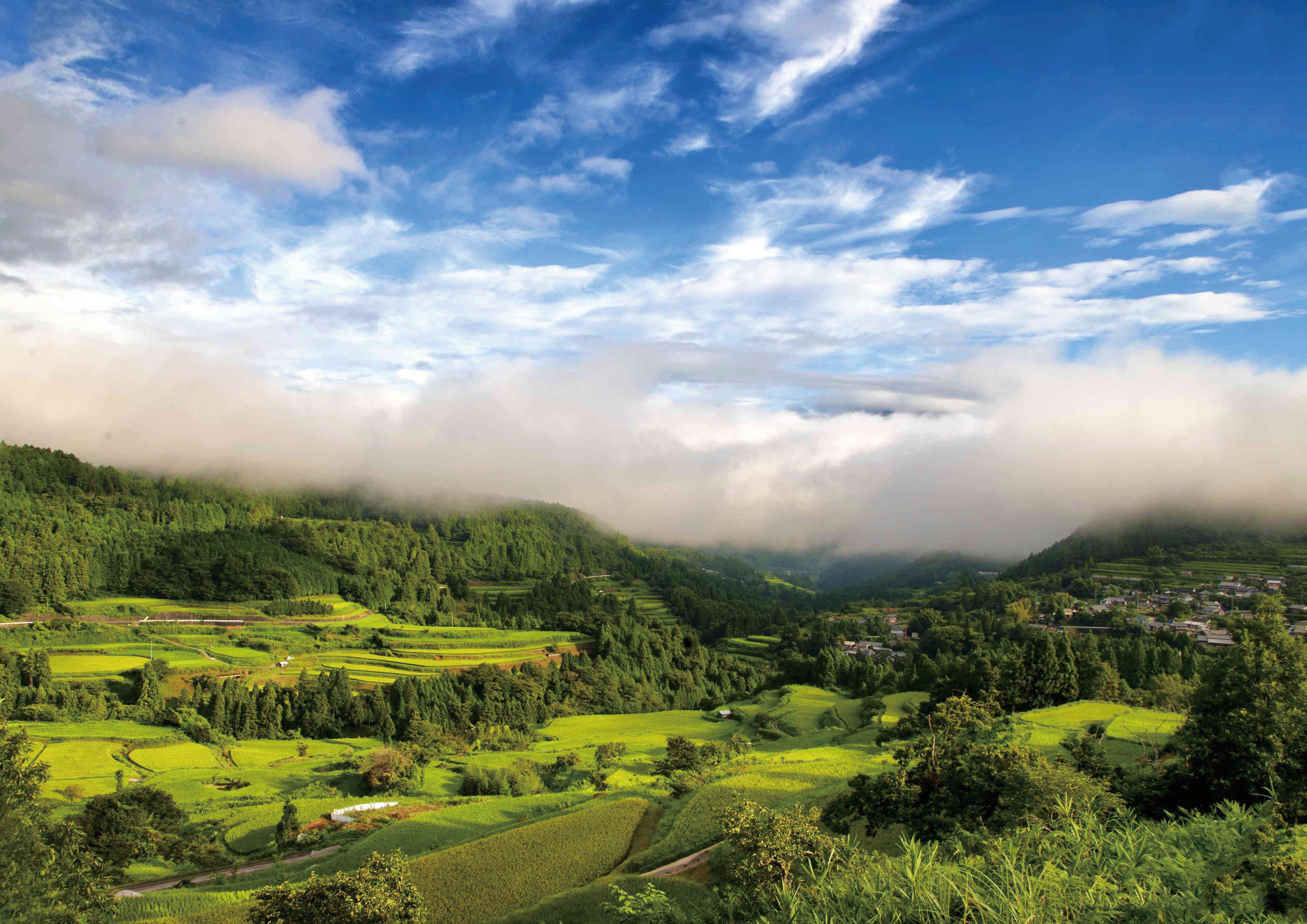 アウトドアヴィレッジ本山のサブ写真4