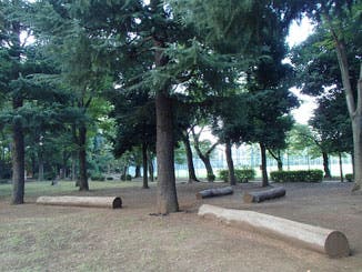 北野公園の1枚目画像