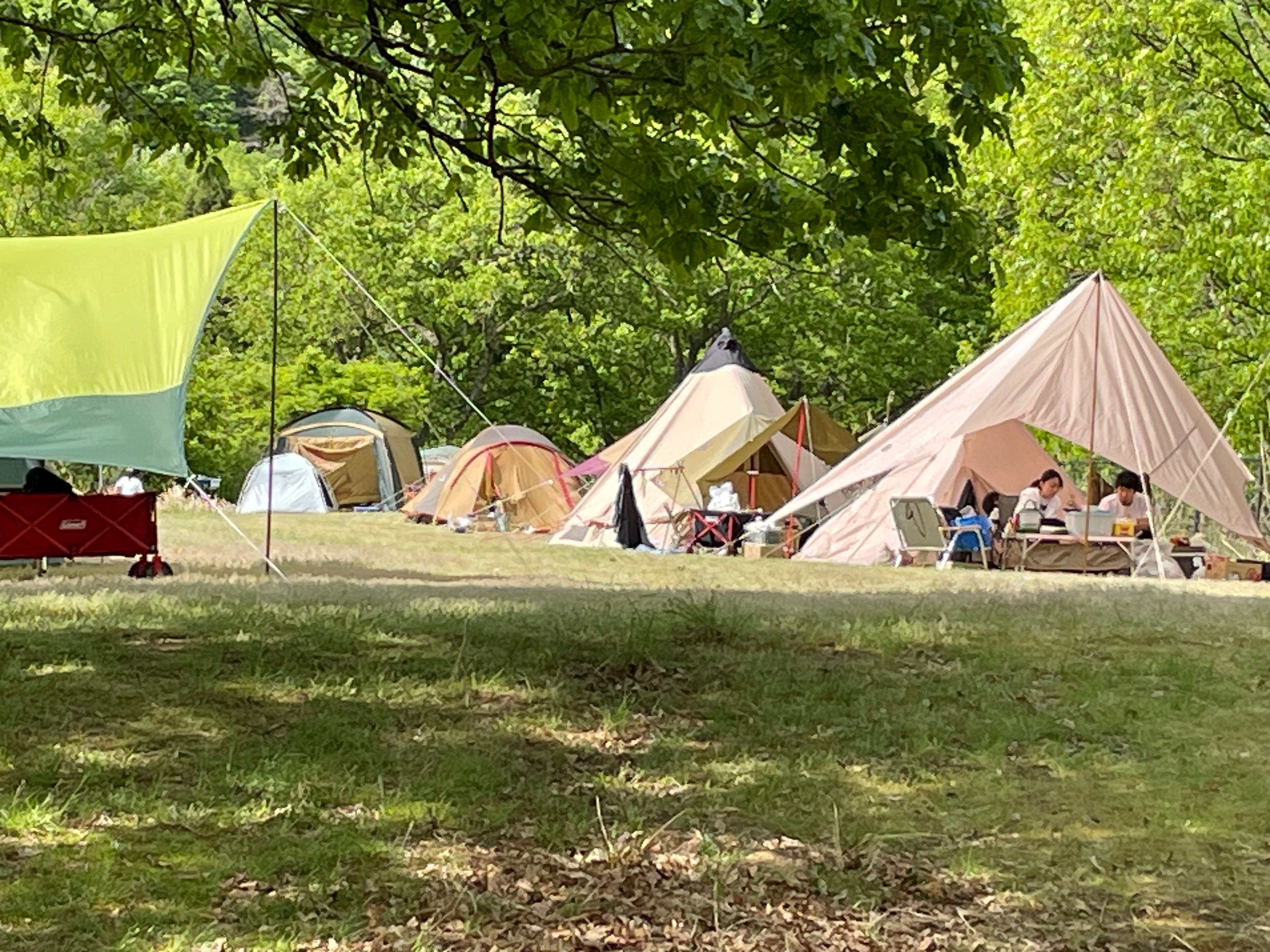 はさまじ里山の森公園の1枚目画像