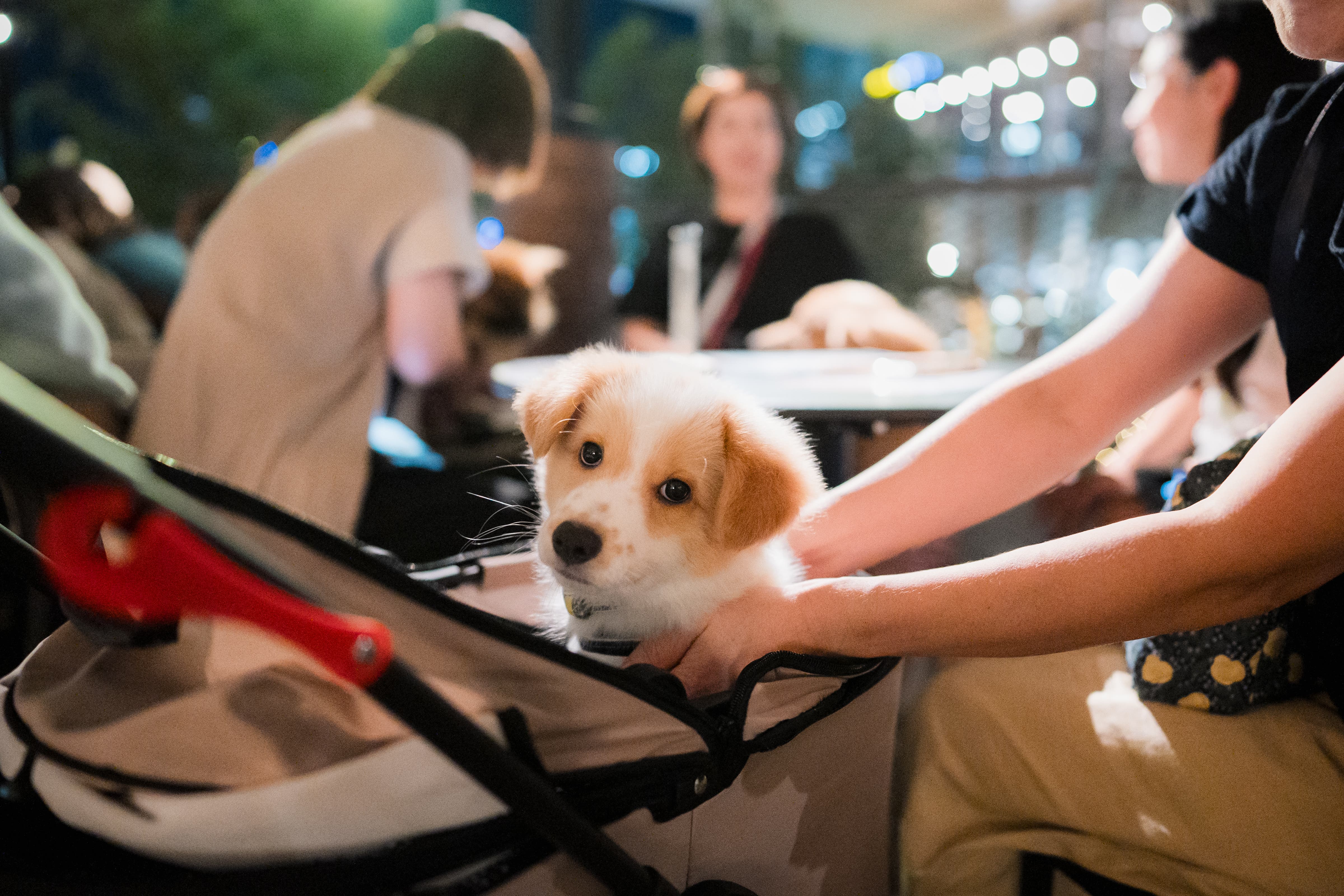 ファームビュッフmothersてんしば店のサブ写真7