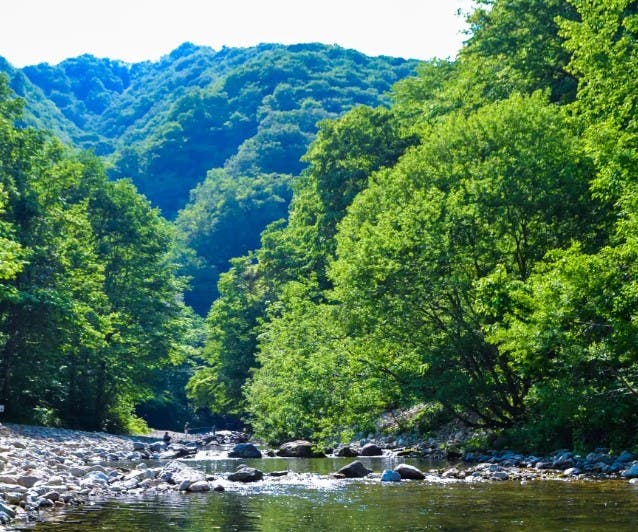 作並渓流つり場