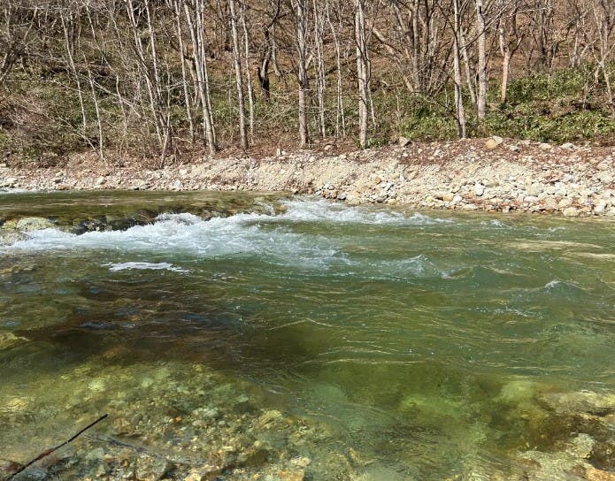 作並渓流つり場のサブ写真1