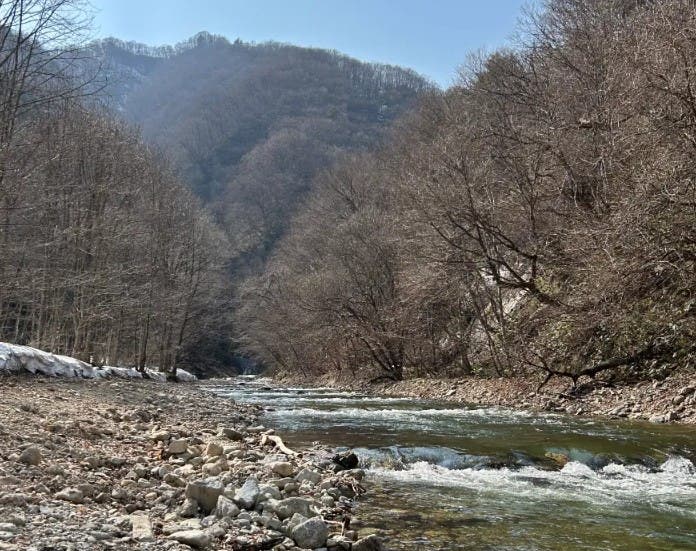 作並渓流つり場のサブ写真2