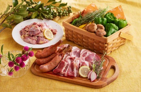 機材・食材セット/名古屋コーチンBBQプラン