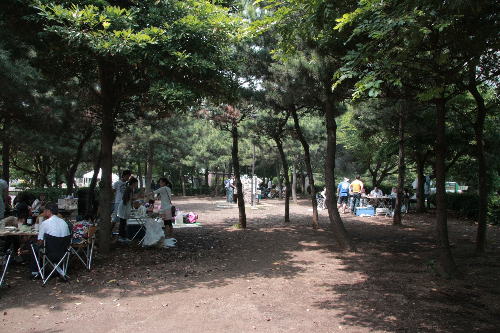 都立潮風公園バーベキュー場の3枚目画像