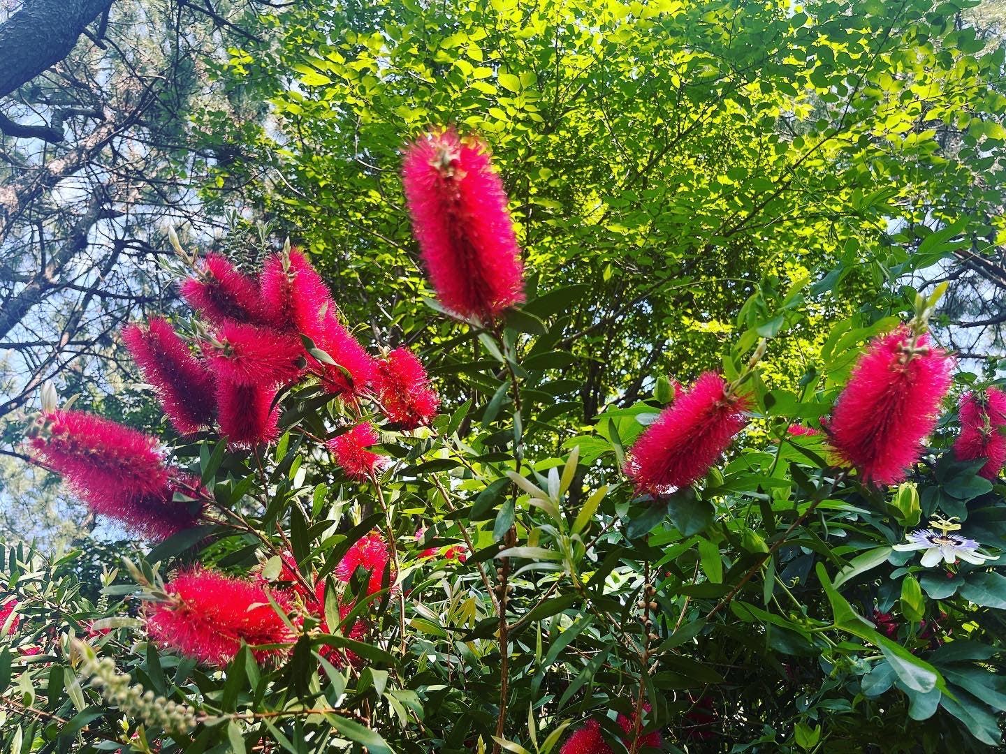 都立潮風公園バーベキュー場のサブ写真7