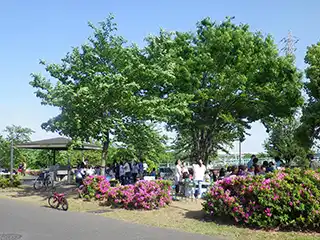 大島小松川公園BBQ場の3枚目画像