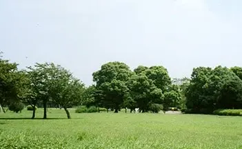 篠崎公園BBQ場の1枚目画像