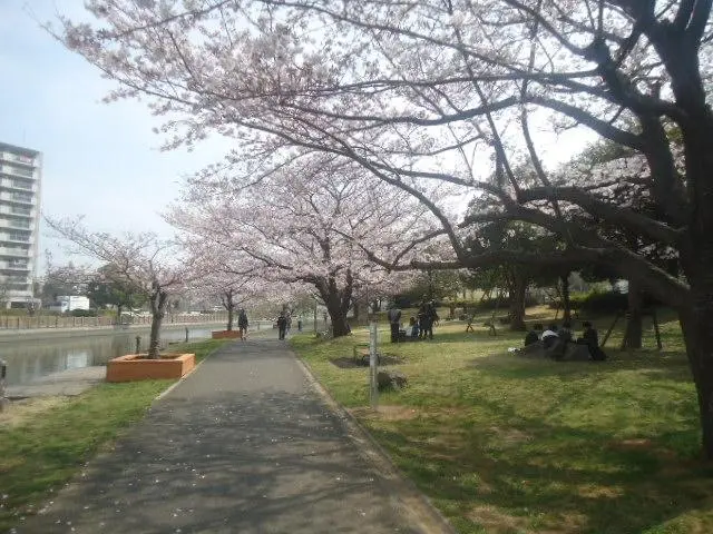 新左近川親水公園BBQ場の1枚目画像