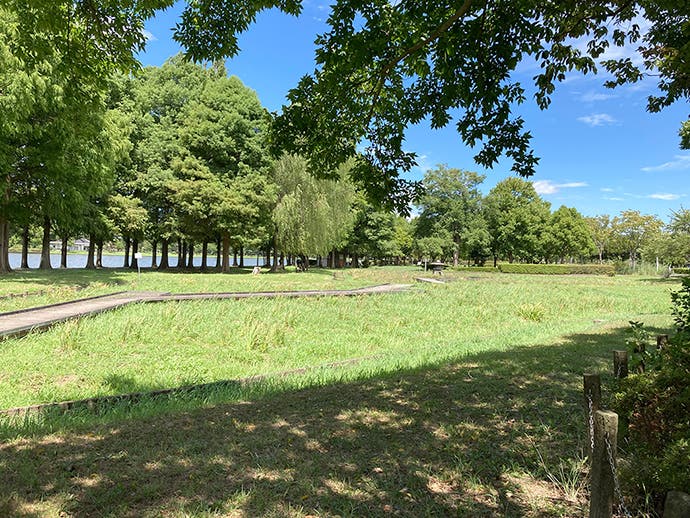 みさと公園BBQ場の3枚目画像