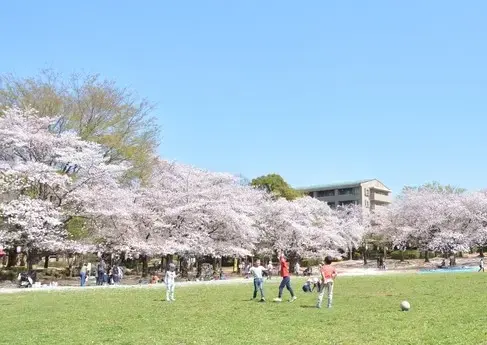蕨市民公園BBQ場の1枚目画像