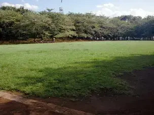 蕨市民公園BBQ場の2枚目画像