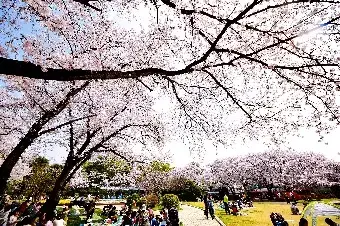 里見公園の2枚目画像