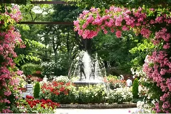 里見公園の3枚目画像