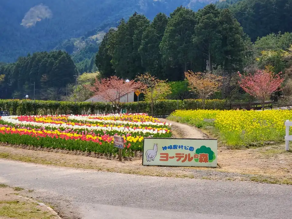 神崎農村公園 ヨーデルの森 アルペンローゼの1枚目画像