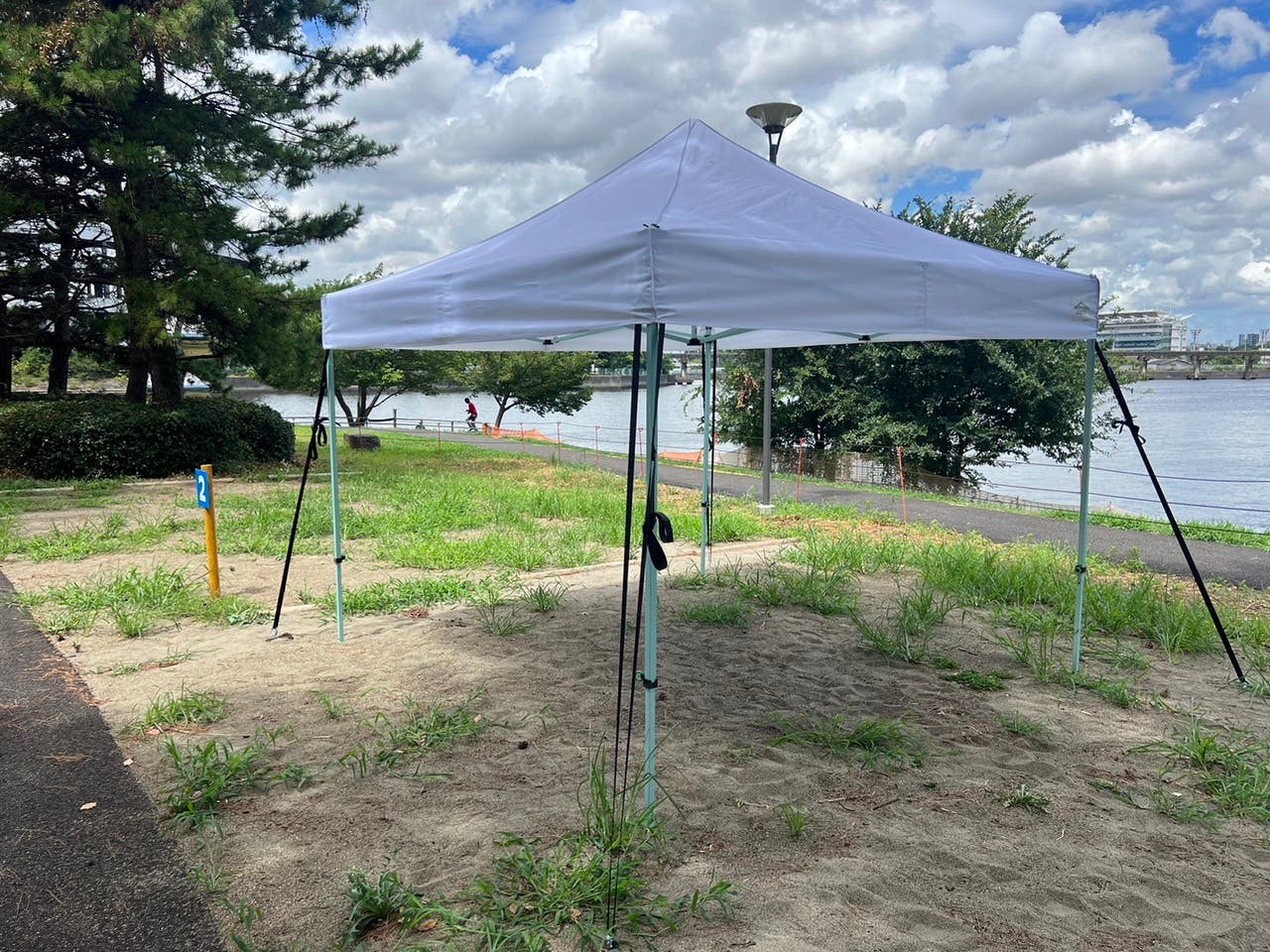 大井ふ頭中央海浜公園(なぎさの森)のサブ写真4