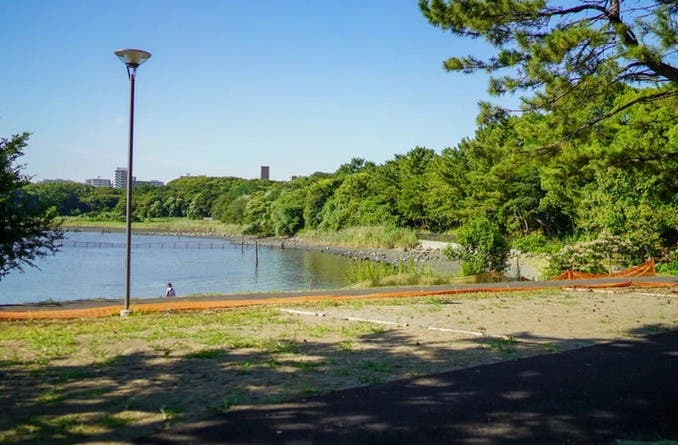 大井ふ頭中央海浜公園(なぎさの森)のサブ写真5