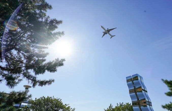 大井ふ頭中央海浜公園(なぎさの森)のサブ写真7
