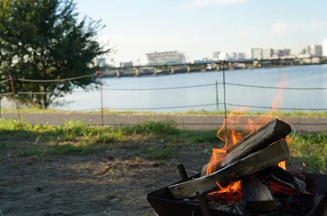 大井ふ頭中央海浜公園(なぎさの森)のサブ写真8