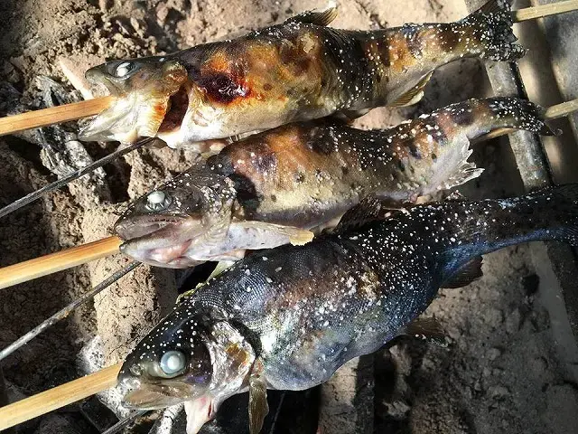 釣り堀CAFE二見(ふたみ)のサブ写真6