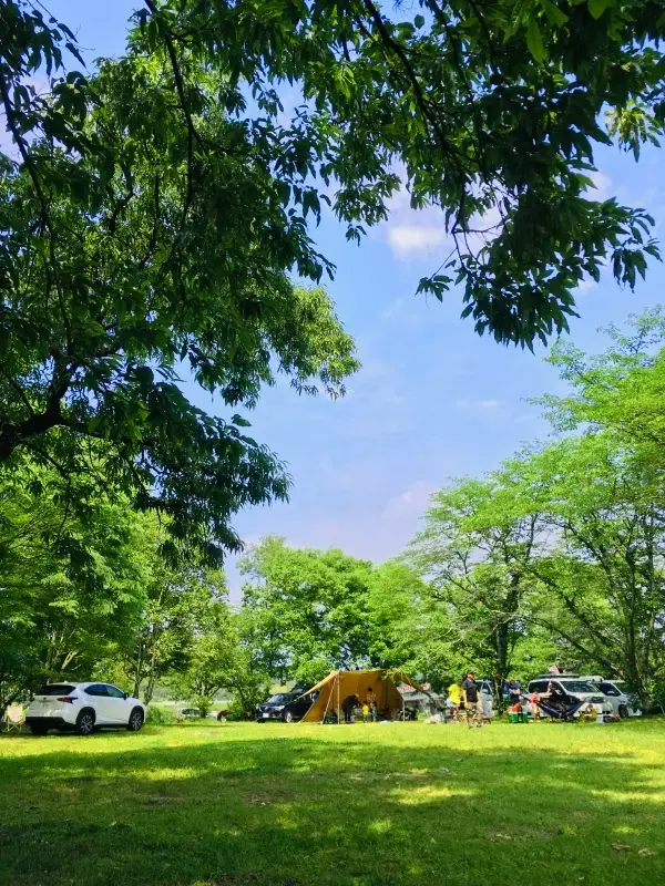 津志田河川自然公園 乙女河原の1枚目画像