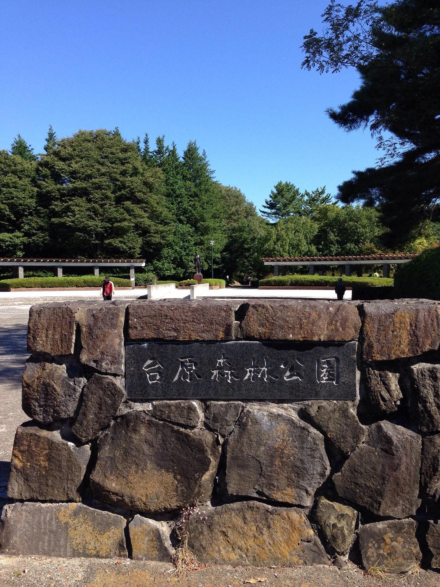 台原森林公園の1枚目画像